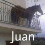 Juan Goikoetxea